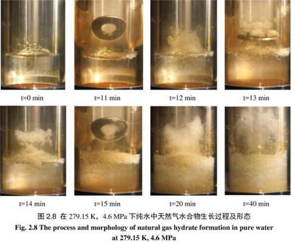 水合物形式過程可視高壓反應(yīng)釜(圖1) 水合物形式過程可視高壓反應(yīng)釜(圖1)